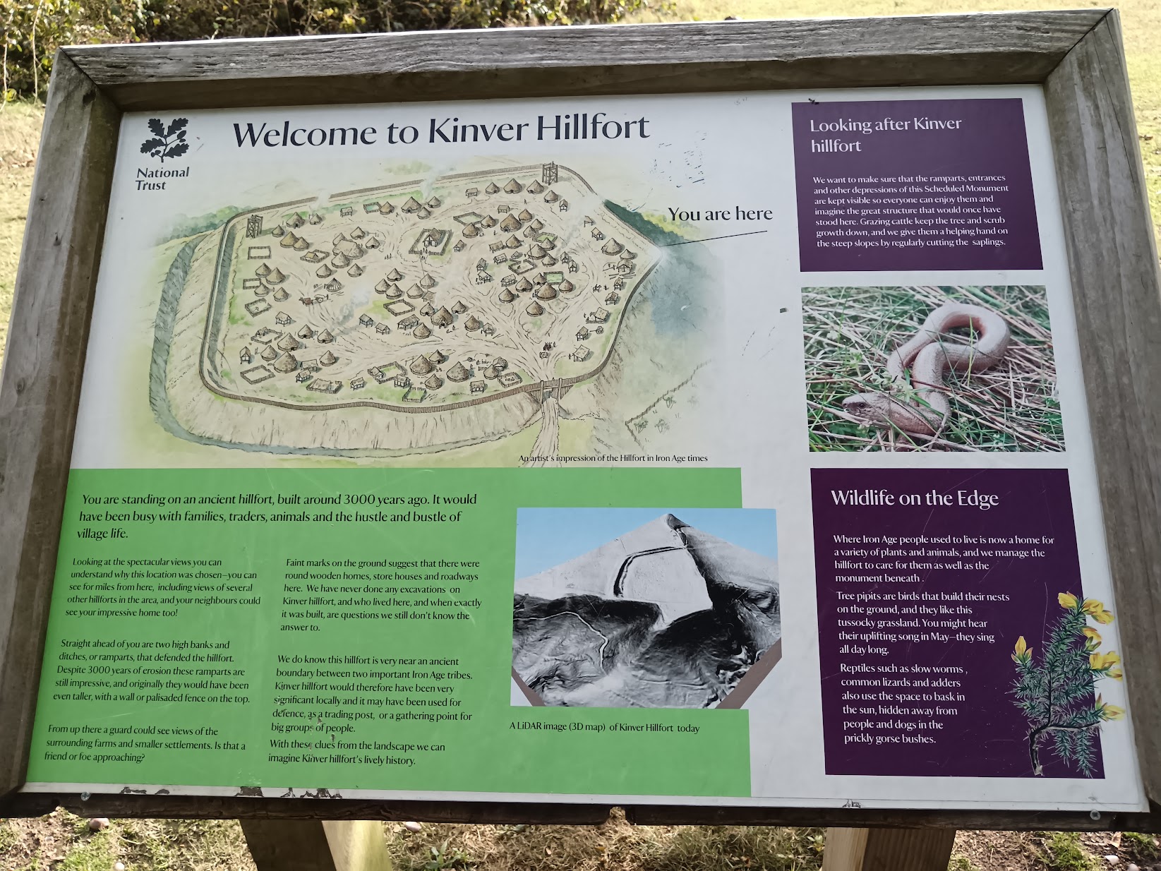 Kinver Edge Rock Houses and Nature Walk